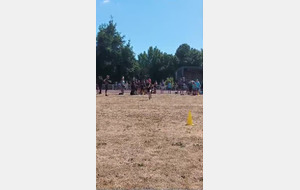 Course l'autralienne